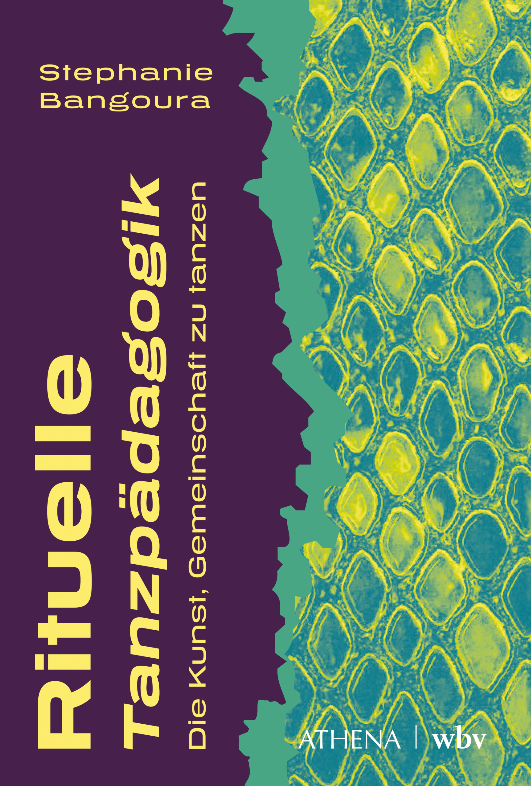 Buchcover Rituelle Tanzpädagogik